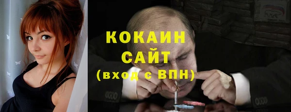 мет Бородино