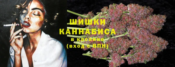 мет Бородино