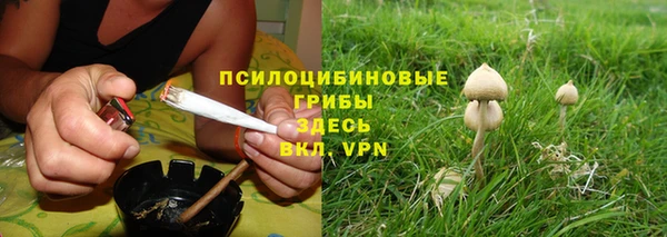 амф Бугульма