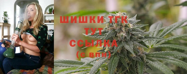 мет Бородино